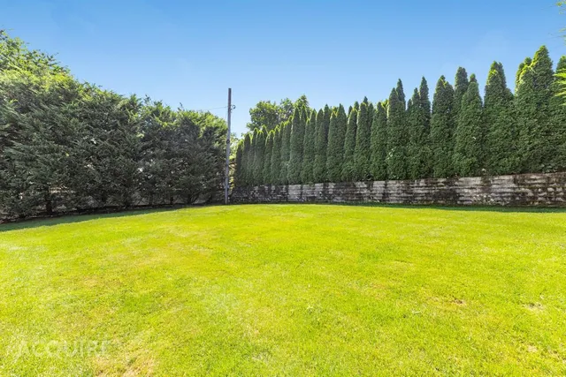 a view of a swimming pool with trees in the background