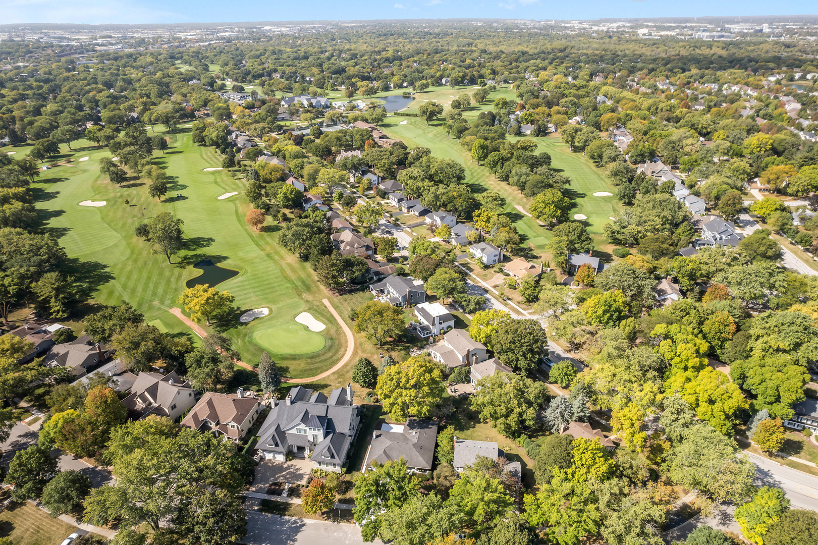 1405 West Street Naperville, IL 60563 - Photo 37 of 43 an aerial view of residential houses with outdoor space and trees