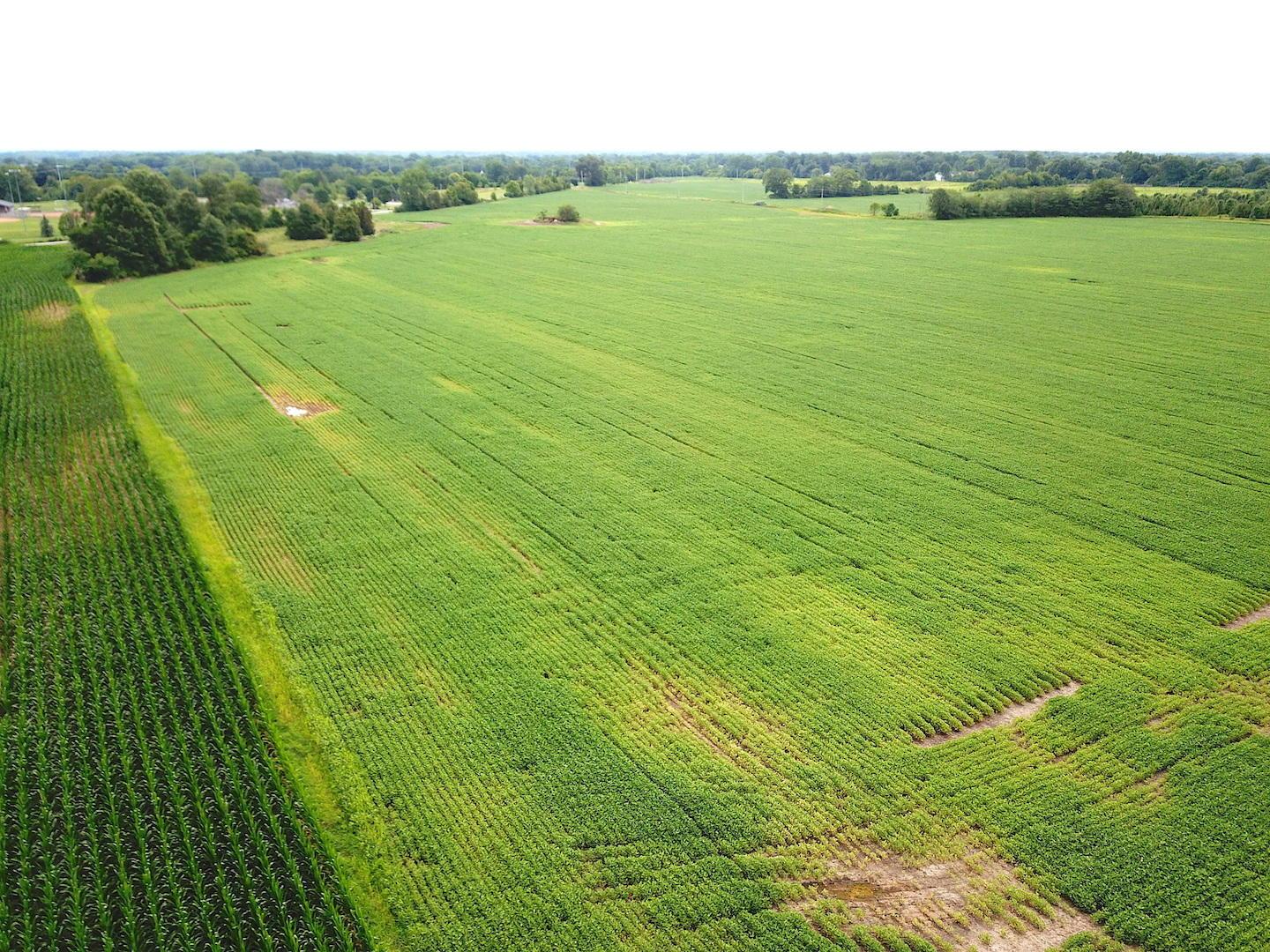 1041 Troy Road Delaware, OH 43015 - Photo 11 of 19