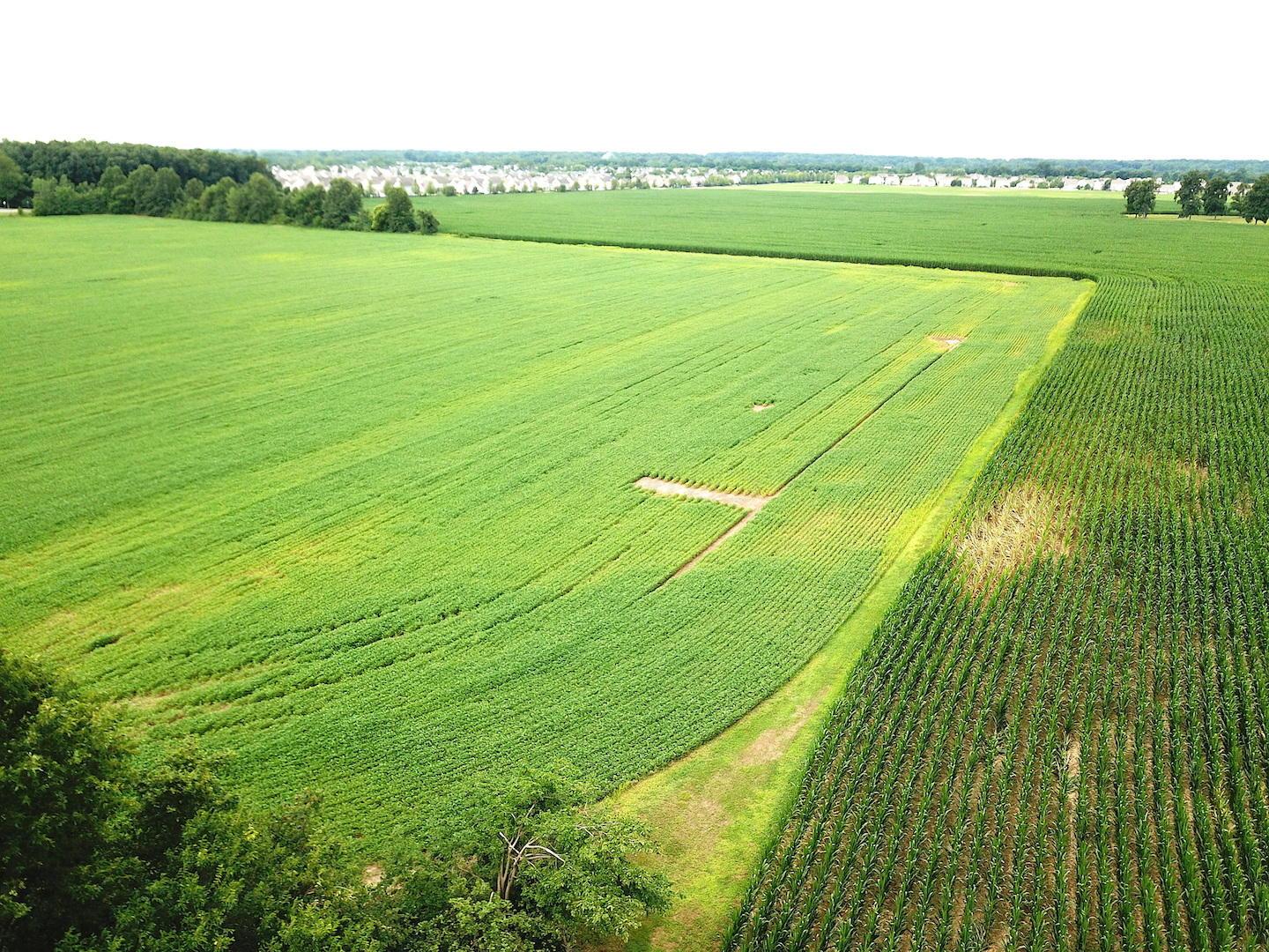 1041 Troy Road Delaware, OH 43015 - Photo 9 of 19