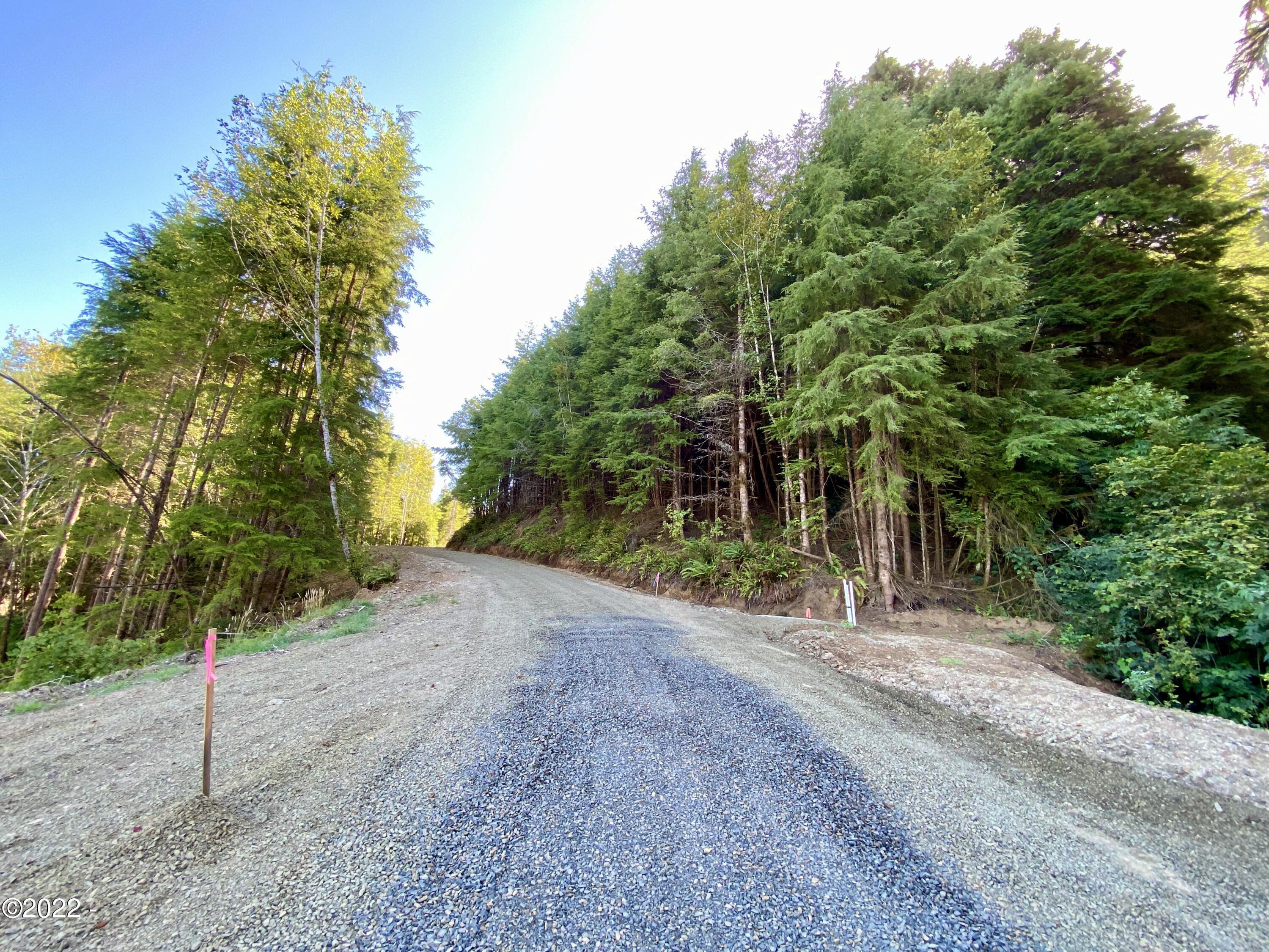 603 Northeast Devil's Lake Road Otis, OR 97368 - Photo 6 of 17 Easement Road