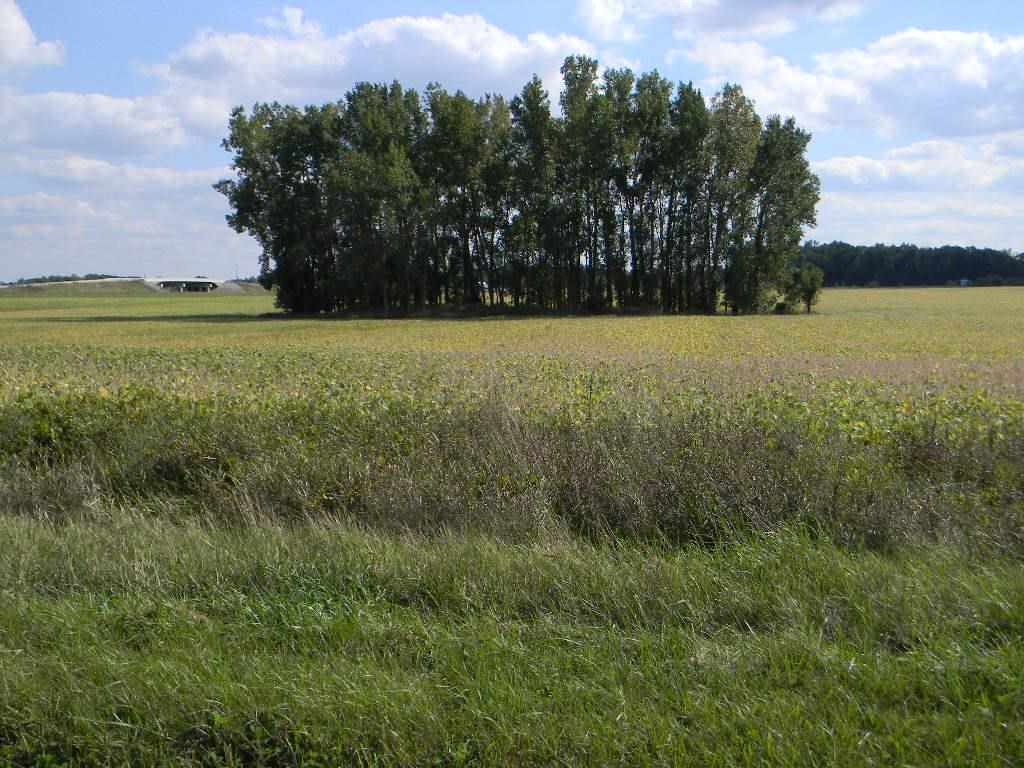 800 North 30 Acres Howe, IN 46746 - Photo 1 of 8