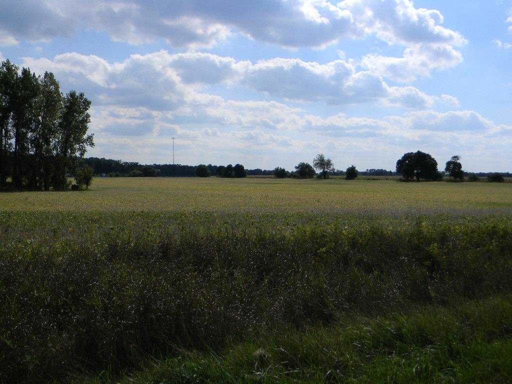 800 North 30 Acres Howe, IN 46746 - Photo 2 of 8