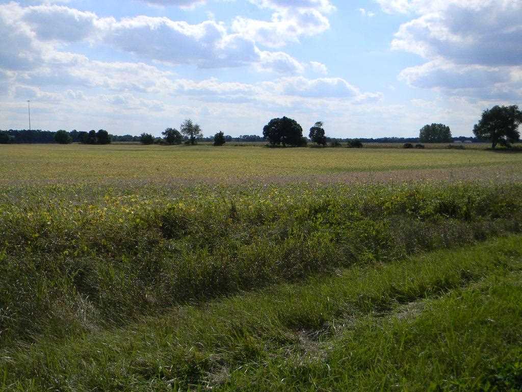 800 North 30 Acres Howe, IN 46746 - Photo 4 of 8