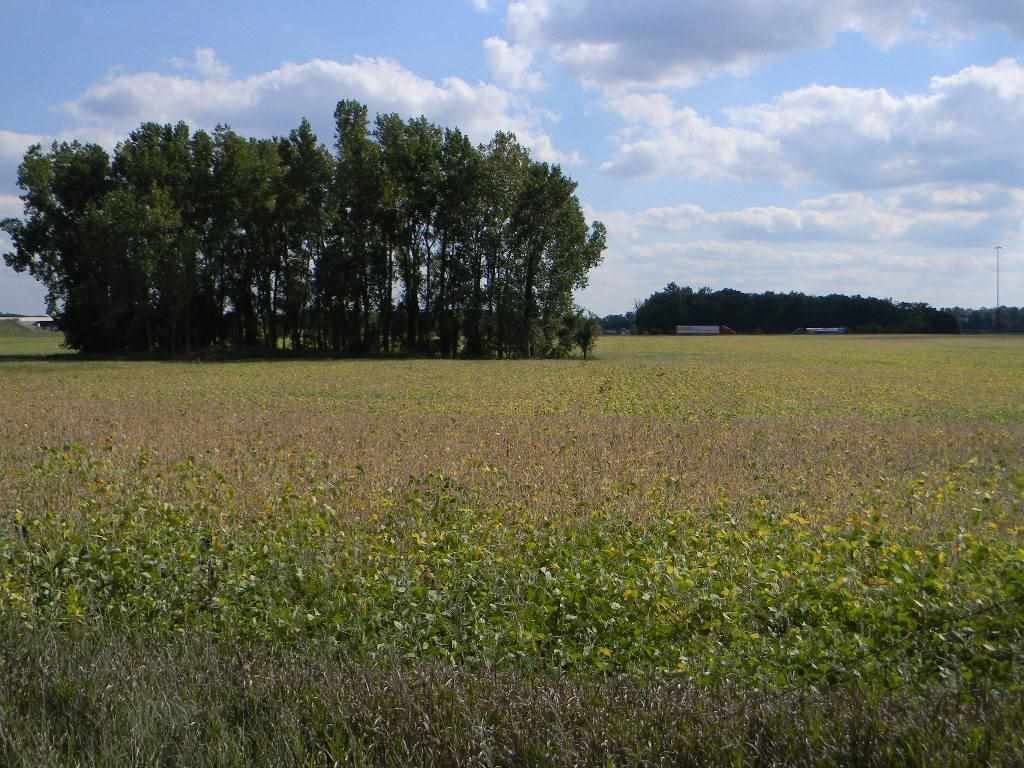 800 North 30 Acres Howe, IN 46746 - Photo 7 of 8