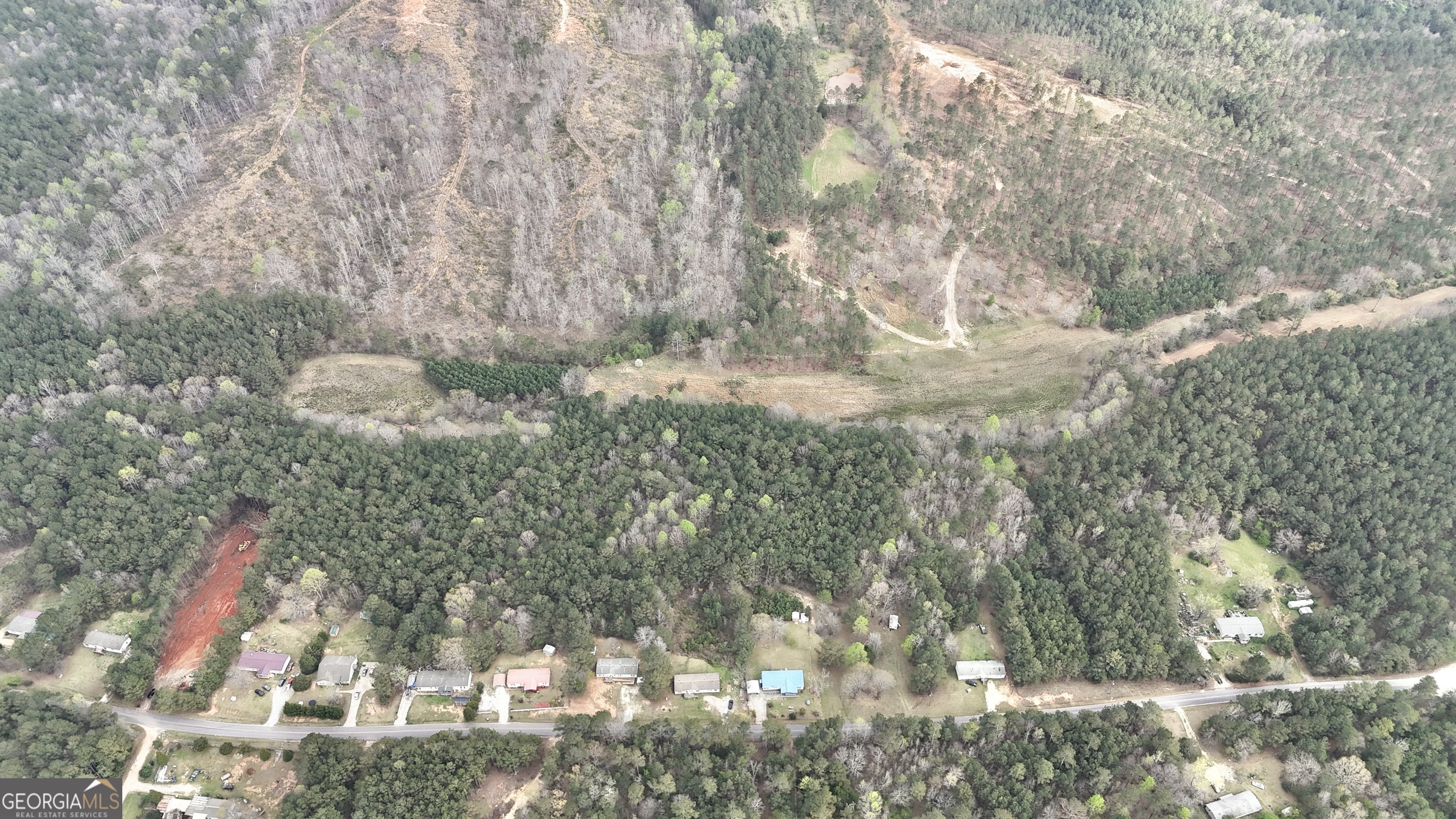 1299 Bodie Rayle Road Elberton, GA 30635 - Photo 16 of 18 a close up of a tree