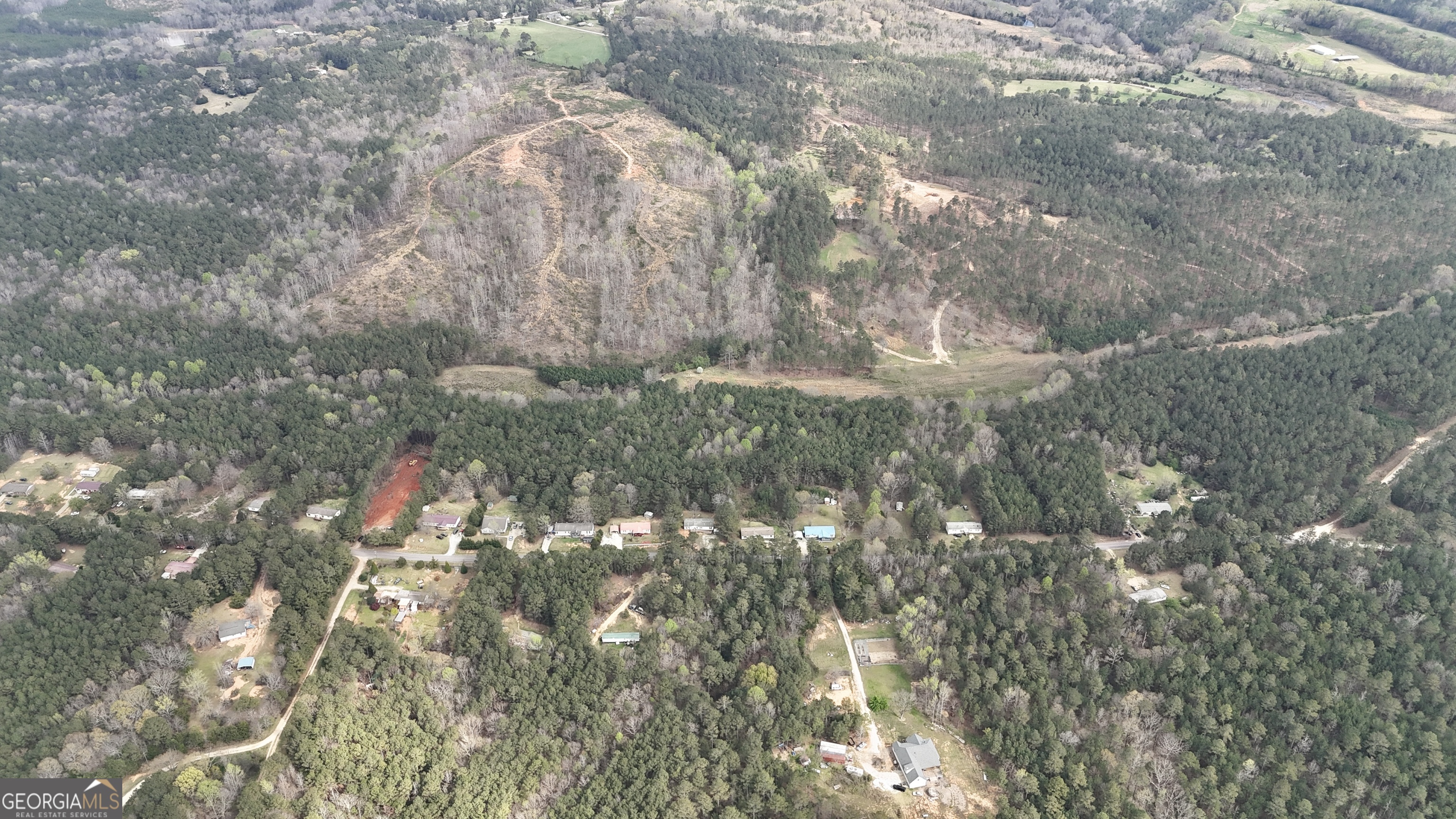 1299 Bodie Rayle Road Elberton, GA 30635 - Photo 17 of 18 a view of flowers in a yard
