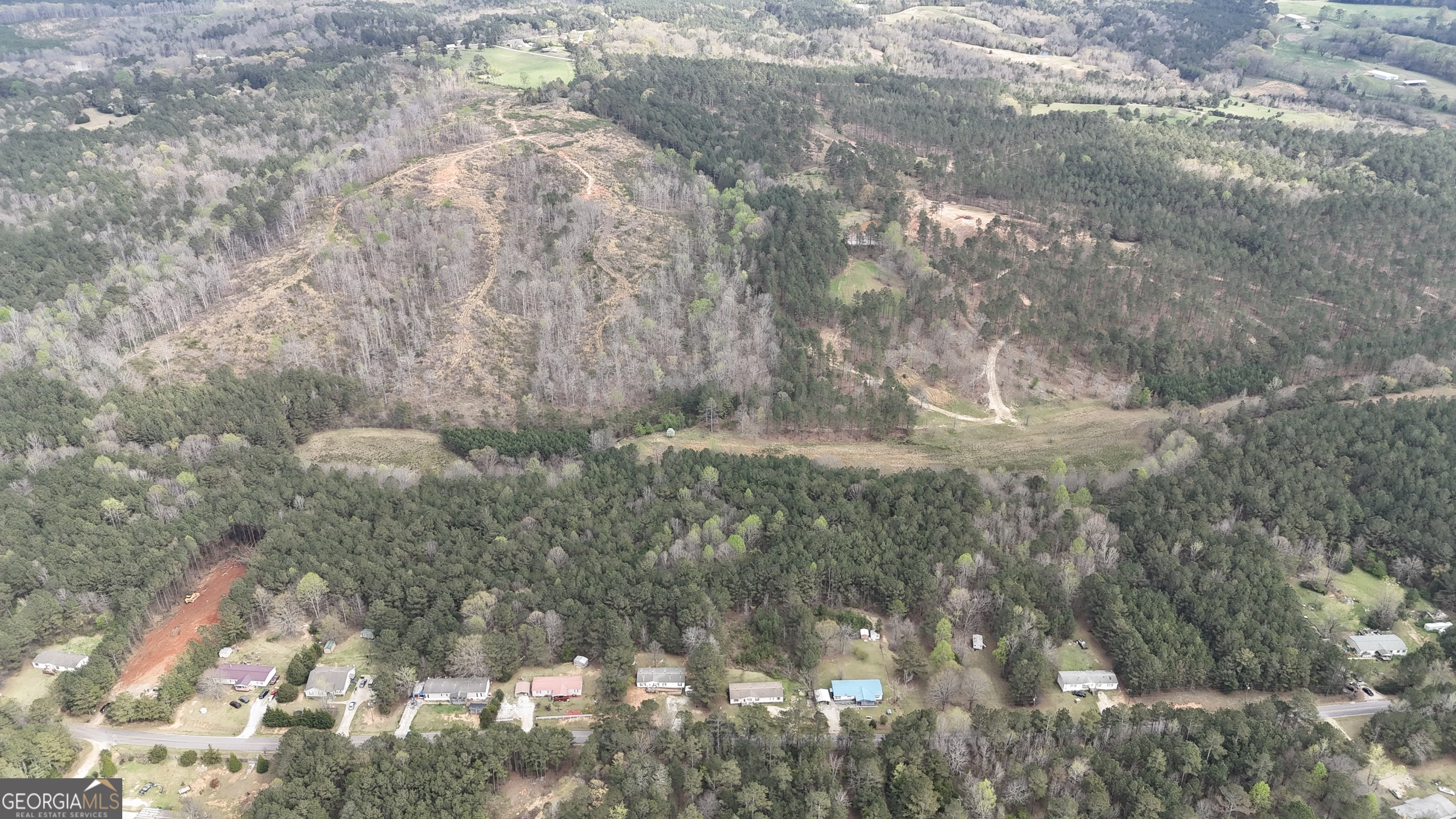 1299 Bodie Rayle Road Elberton, GA 30635 - Photo 18 of 18 a close up of a tree