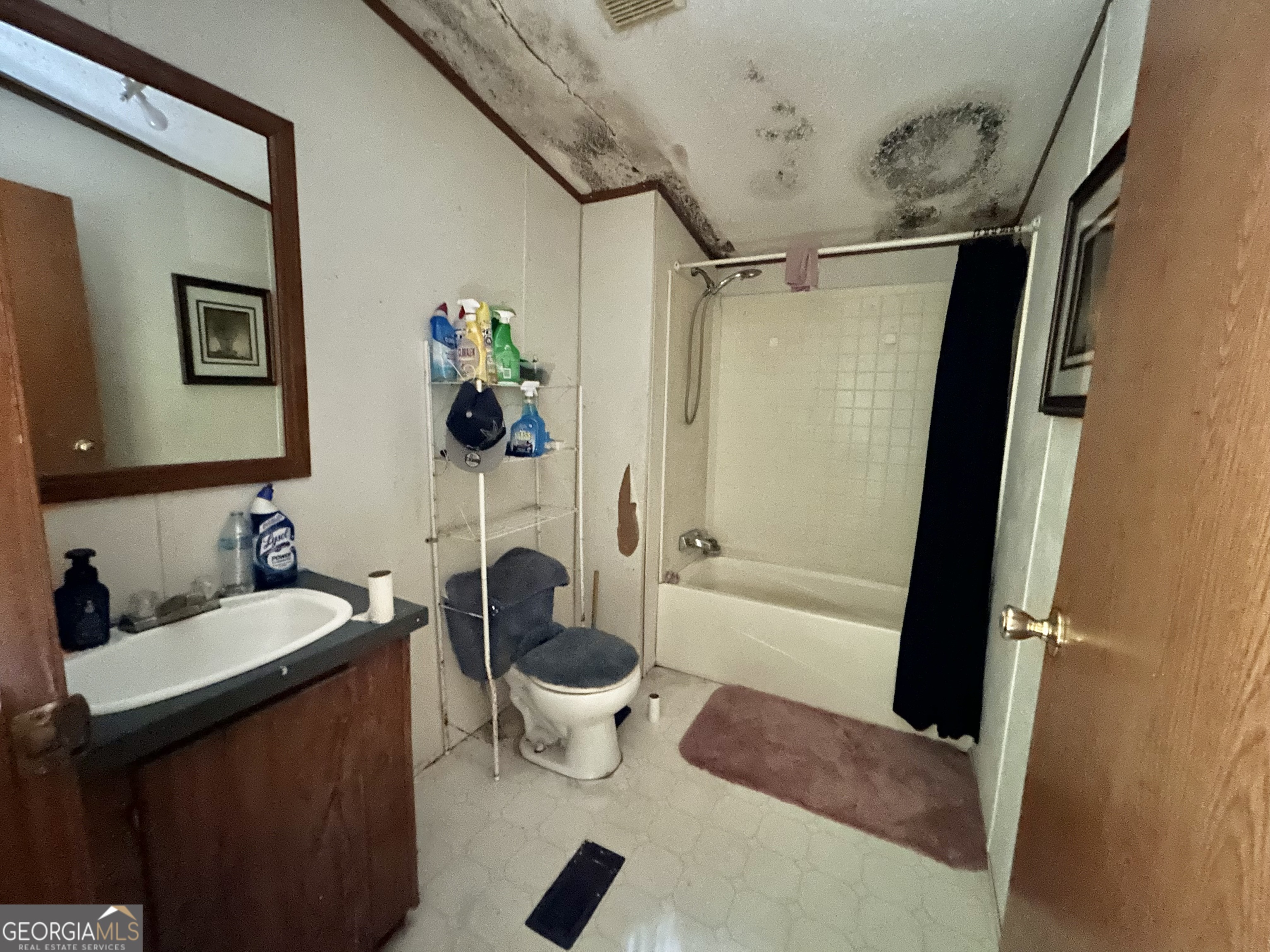 1299 Bodie Rayle Road Elberton, GA 30635 - Photo 8 of 18 a bathroom with a toilet a sink and bathtub