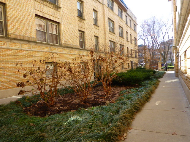 1362 West Greenleaf Avenue, Unit GD Chicago, IL 60626 - Photo 33 of 35