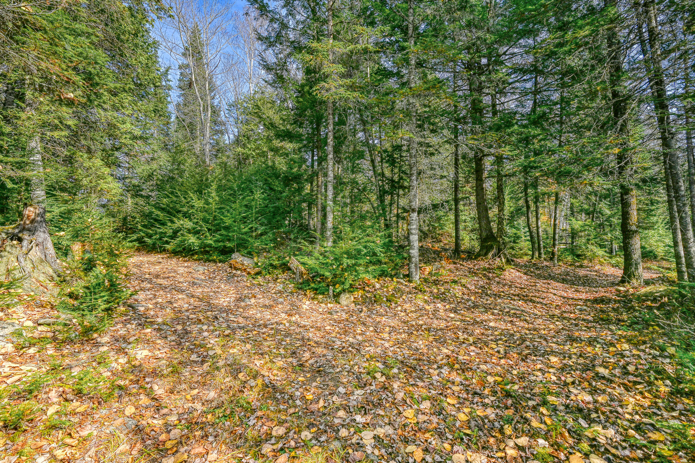 70 Morgan Road Burnham, ME 04922 - Photo 31 of 50 109764gr-115