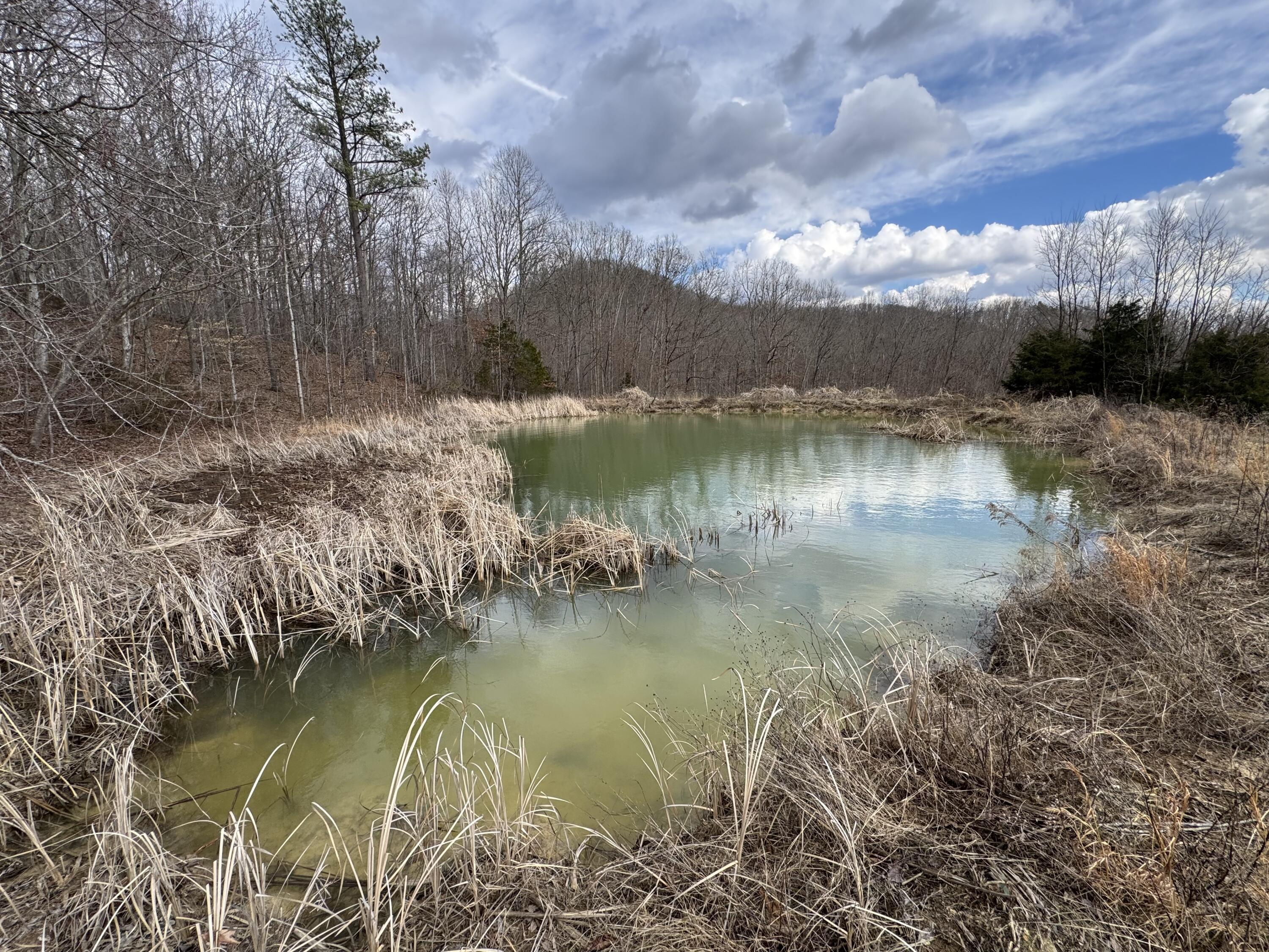 0 Ringos Mills Road Hillsboro, KY 41049 - Photo 11 of 19 8