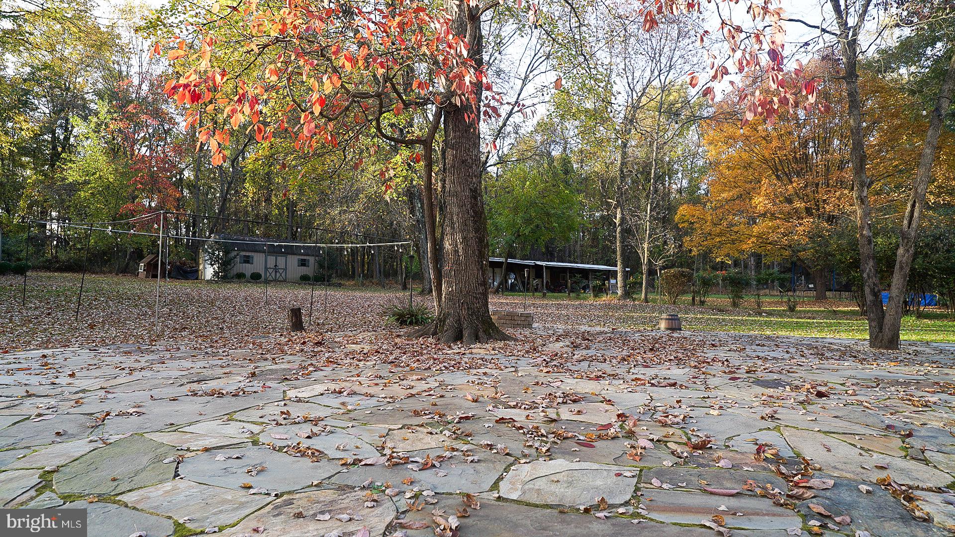 15350 Peach Orchard Road Silver Spring, MD 20905 - Photo 47 of 56