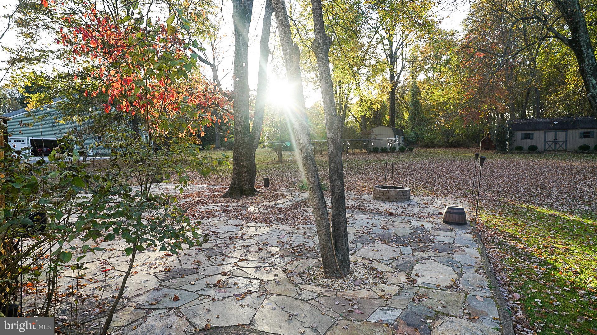 15350 Peach Orchard Road Silver Spring, MD 20905 - Photo 48 of 56