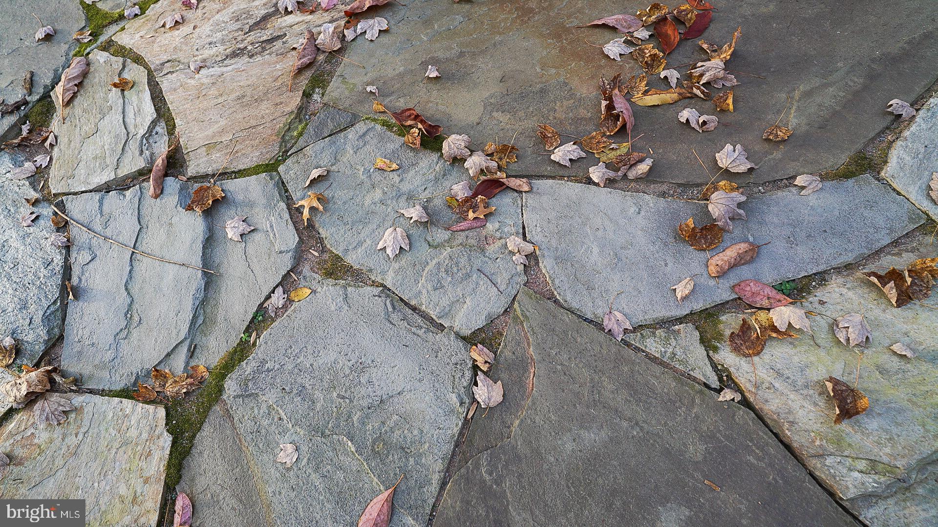 15350 Peach Orchard Road Silver Spring, MD 20905 - Photo 53 of 56