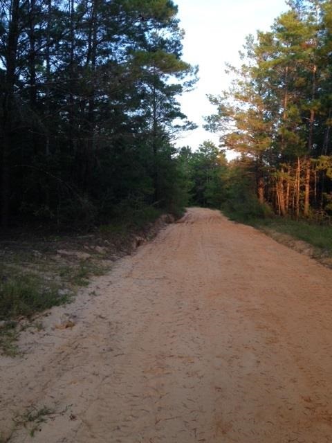 Lot 24-25 Cornflower Road DeFuniak Springs, FL 32433 - Photo 1 of 6 Gallery Image 1