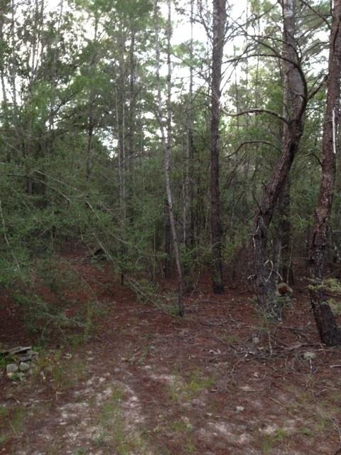 Lot 24-25 Cornflower Road DeFuniak Springs, FL 32433 - Photo 5 of 6 Gallery Image 5