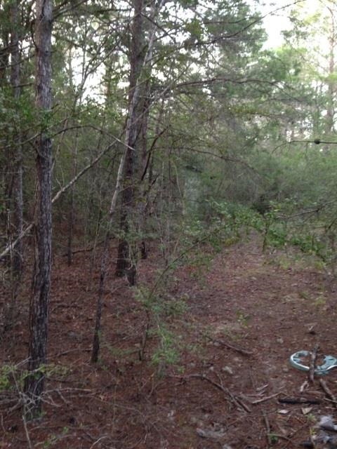 Lot 24-25 Cornflower Road DeFuniak Springs, FL 32433 - Photo 6 of 6 Gallery Image 6