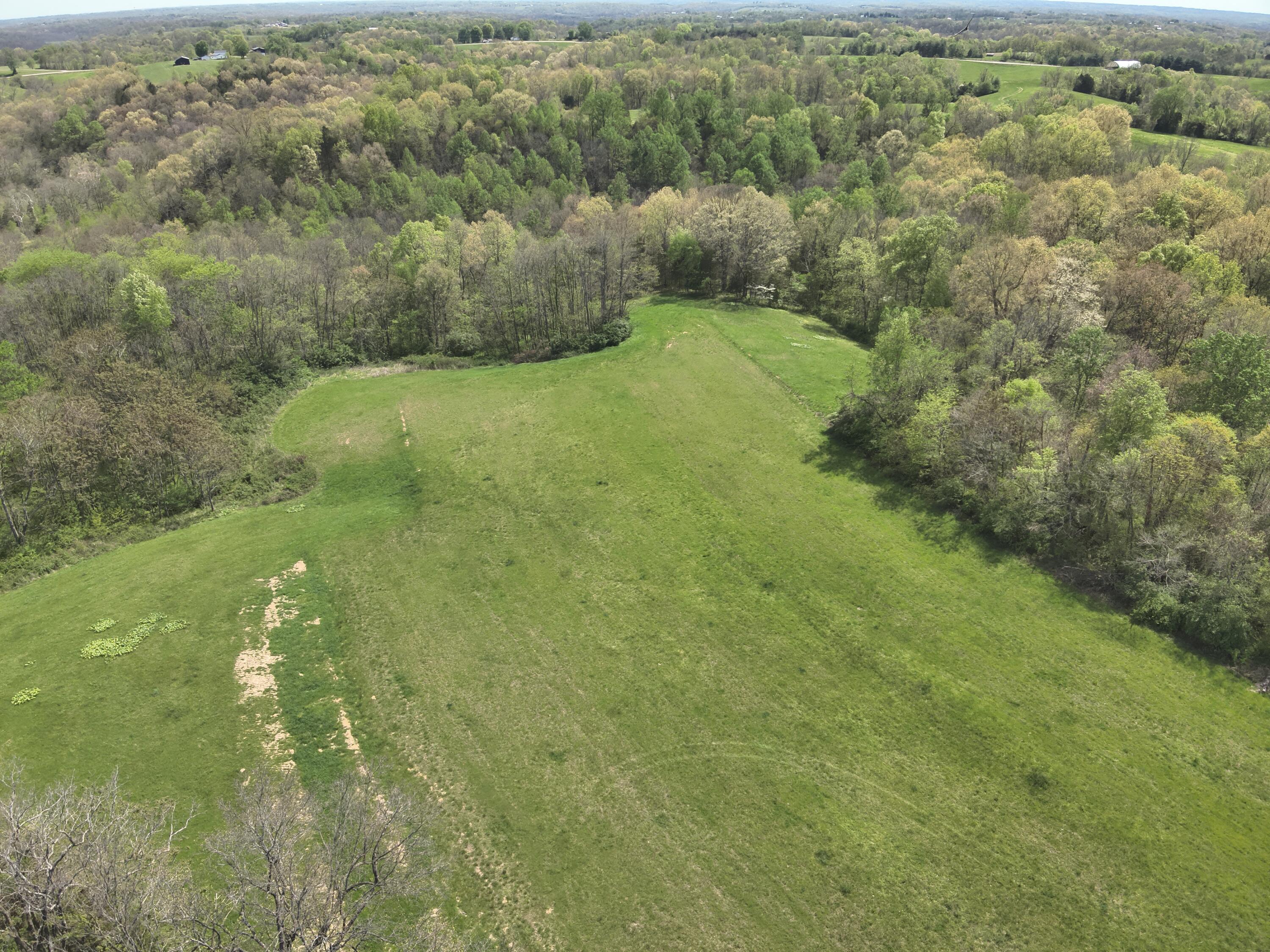 2451 Sardis Road Mount Olivet, KY 41064 - Photo 17 of 42