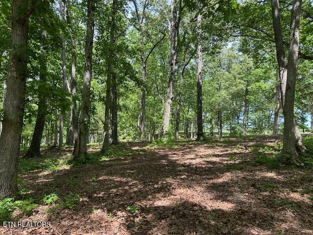 Salem Rd Road Parrottsville, TN 37843 - Photo 12 of 12 IMG_4923