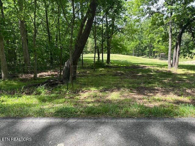 Salem Rd Road Parrottsville, TN 37843 - Photo 2 of 12 IMG_4905