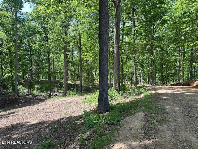 Salem Rd Road Parrottsville, TN 37843 - Photo 5 of 12 IMG_4908