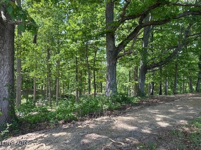 Salem Rd Road Parrottsville, TN 37843 - Photo 6 of 12 IMG_4909
