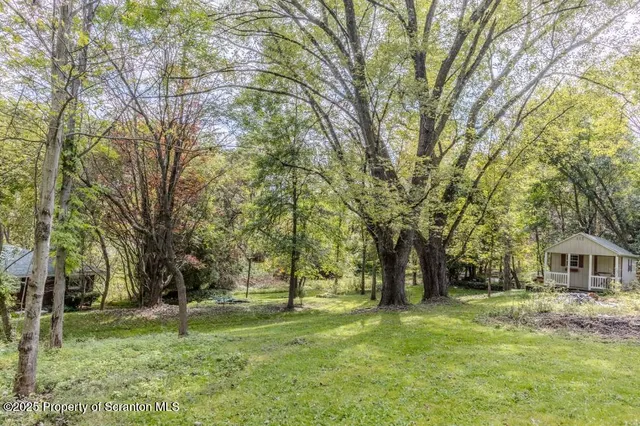 a view of a garden with plants and large trees