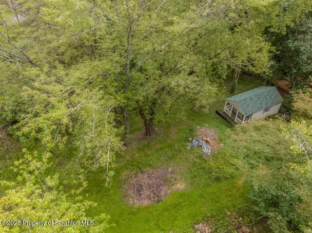 a view of a forest with a houses