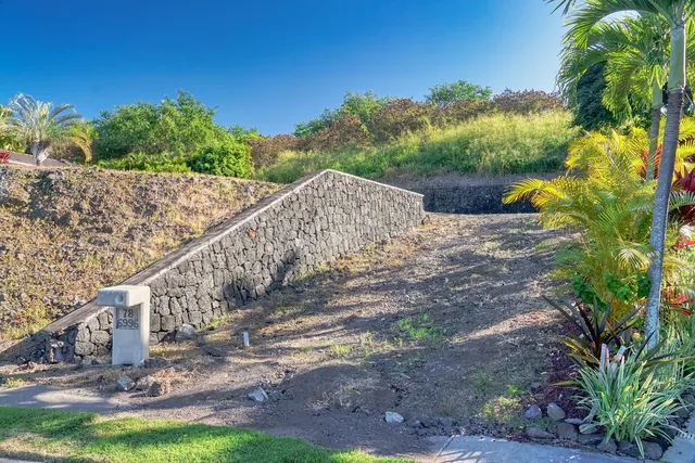 a view of a backyard with plants