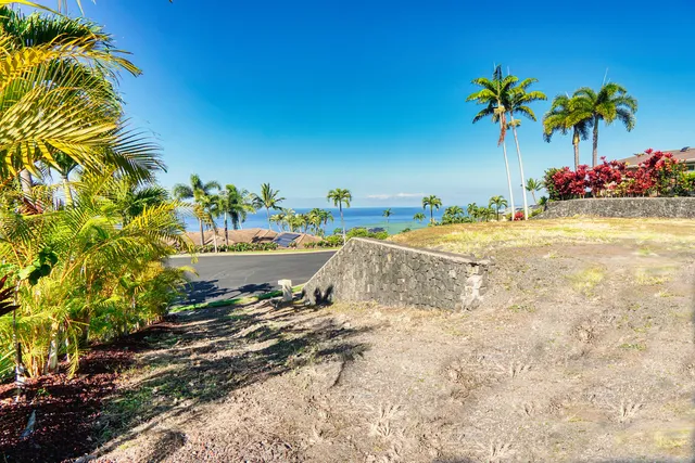 a view of a swimming pool with a yard