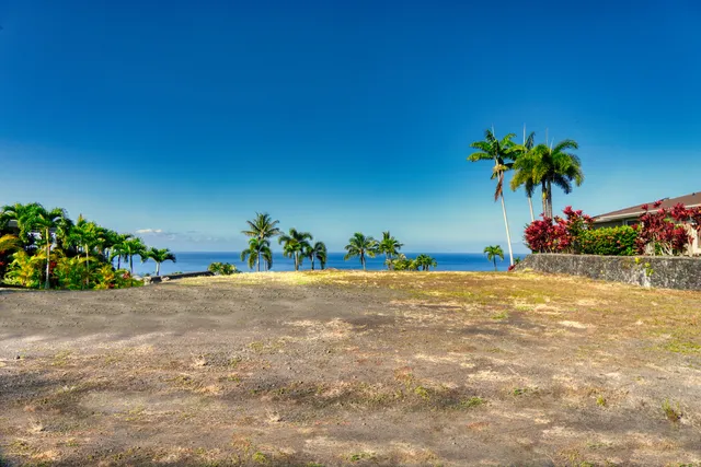 a view of a garden with a tree