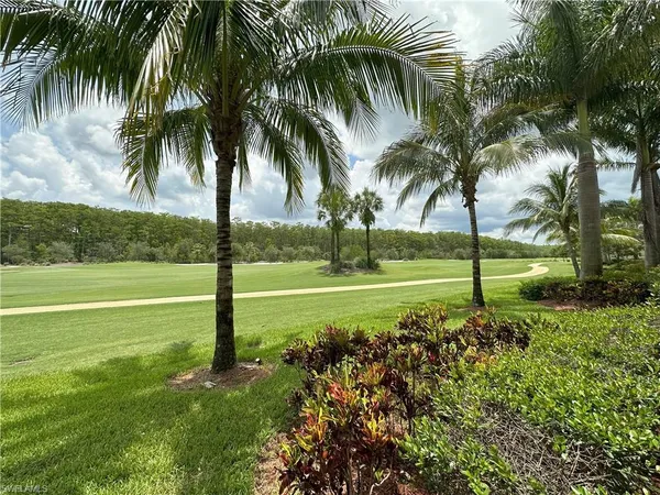 a view of a garden with palm trees