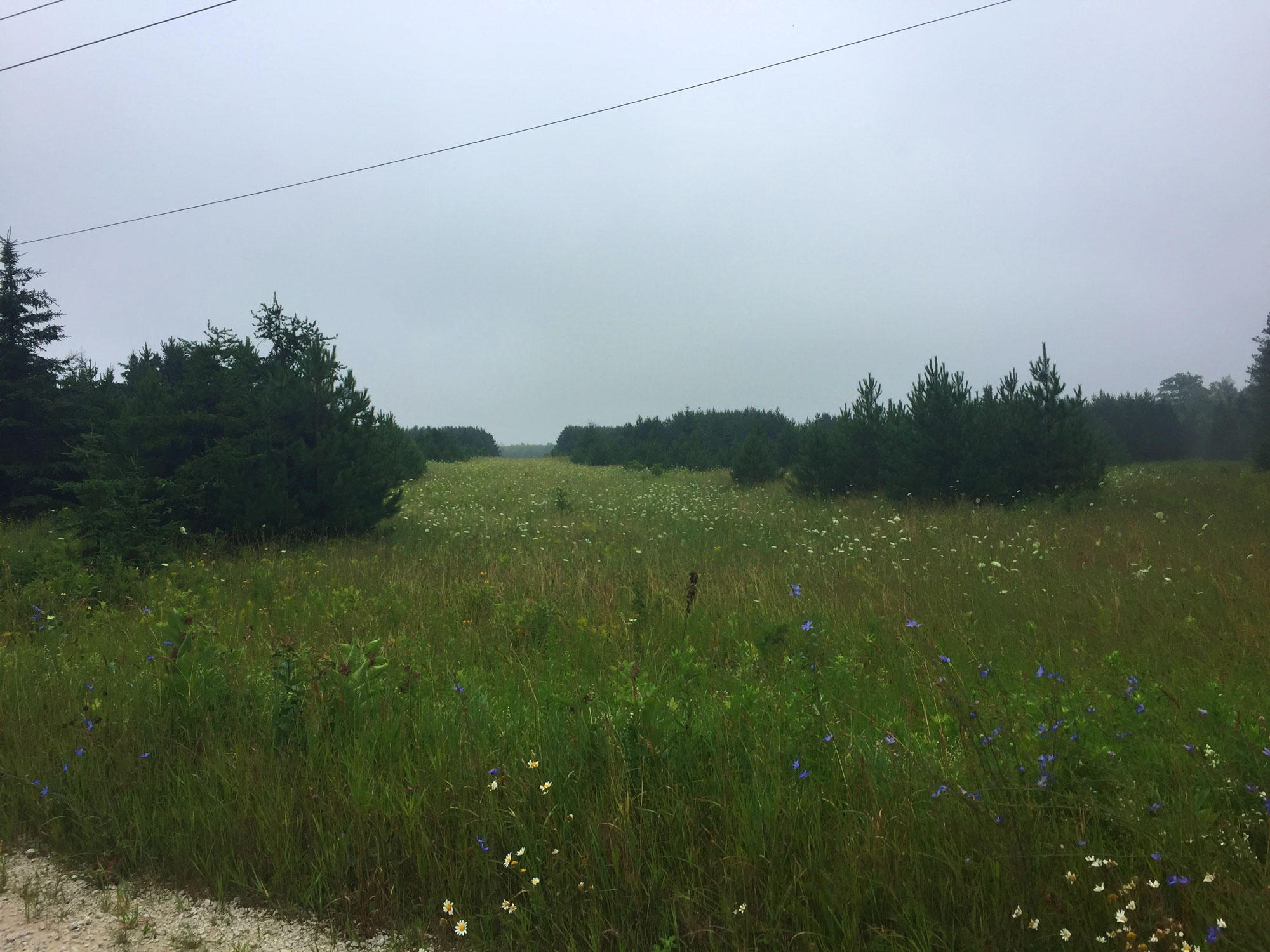 0 28 28 Mile Road Moran, MI 49760 - Photo 19 of 19 Gallery Image 19