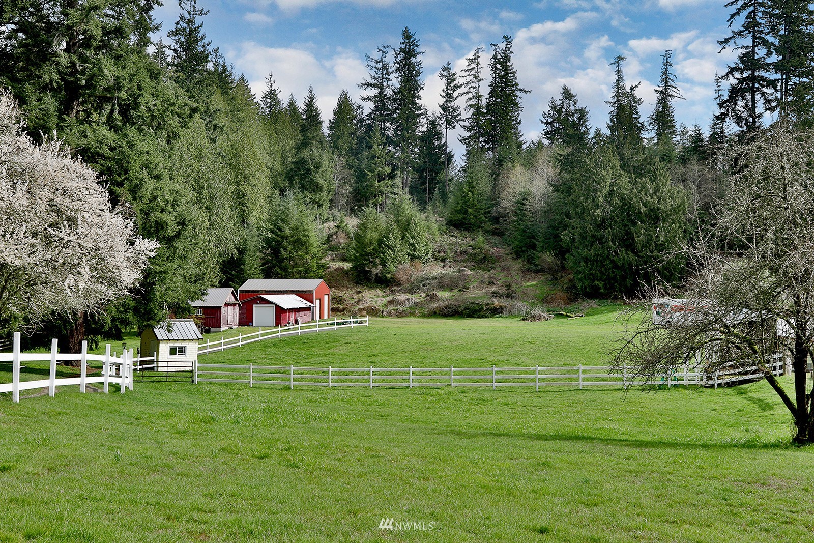 5017 Langley Road Langley, WA 98260 - Photo 7 of 40 Gallery Image 7