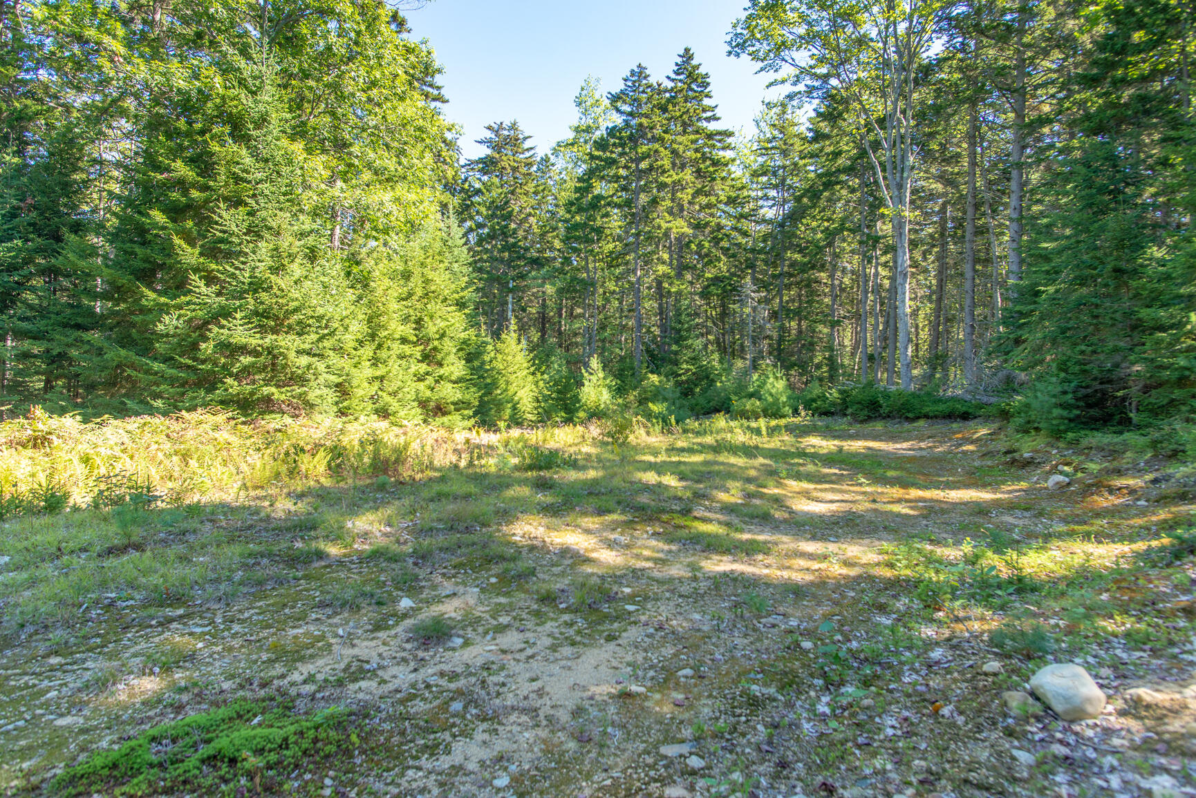 Lot 26 B North Road Chebeague Island, ME 04017 - Photo 6 of 11 untitled-6