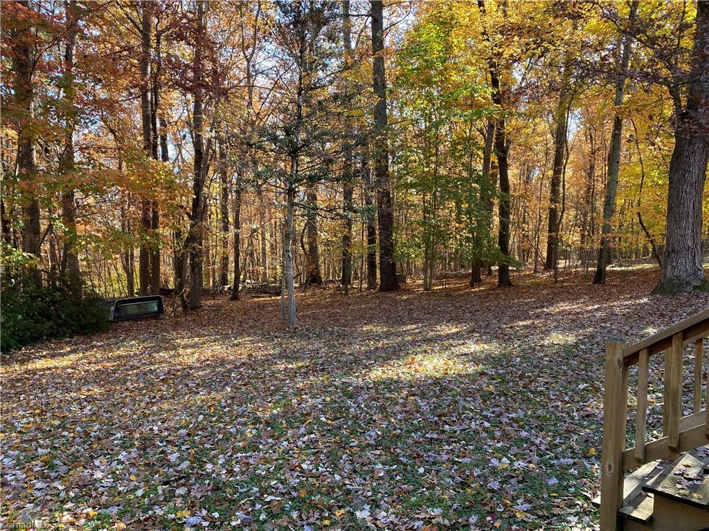 139 Ridgewood Drive Mount Airy, NC 27030 - Photo 29 of 36