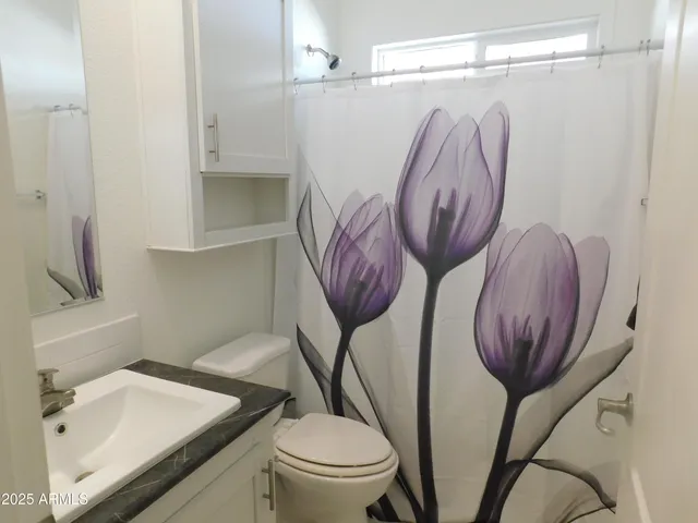 a bathroom with a toilet a sink and a mirror