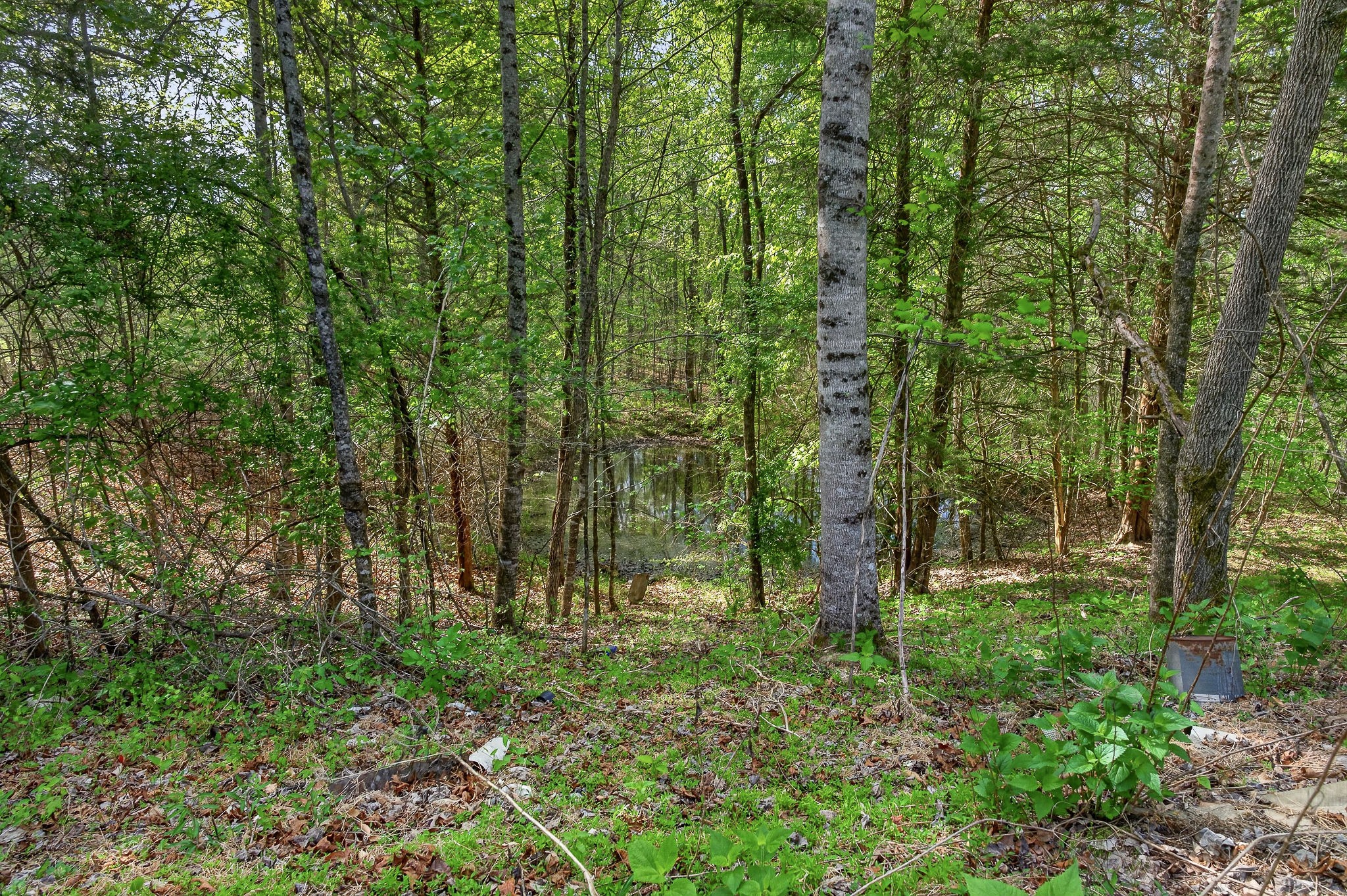1142 Poss Road Smithville, TN 37166 - Photo 27 of 35 Gallery Image 27