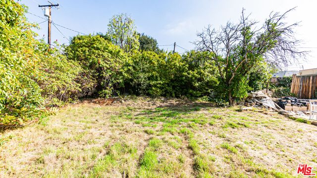 a view of backyard with plants and trees