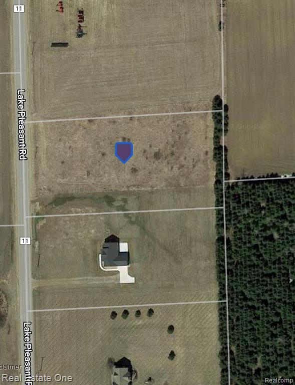 0 Lake Pleasant Rd Branch North Branch, MI 48461 - Photo 5 of 6