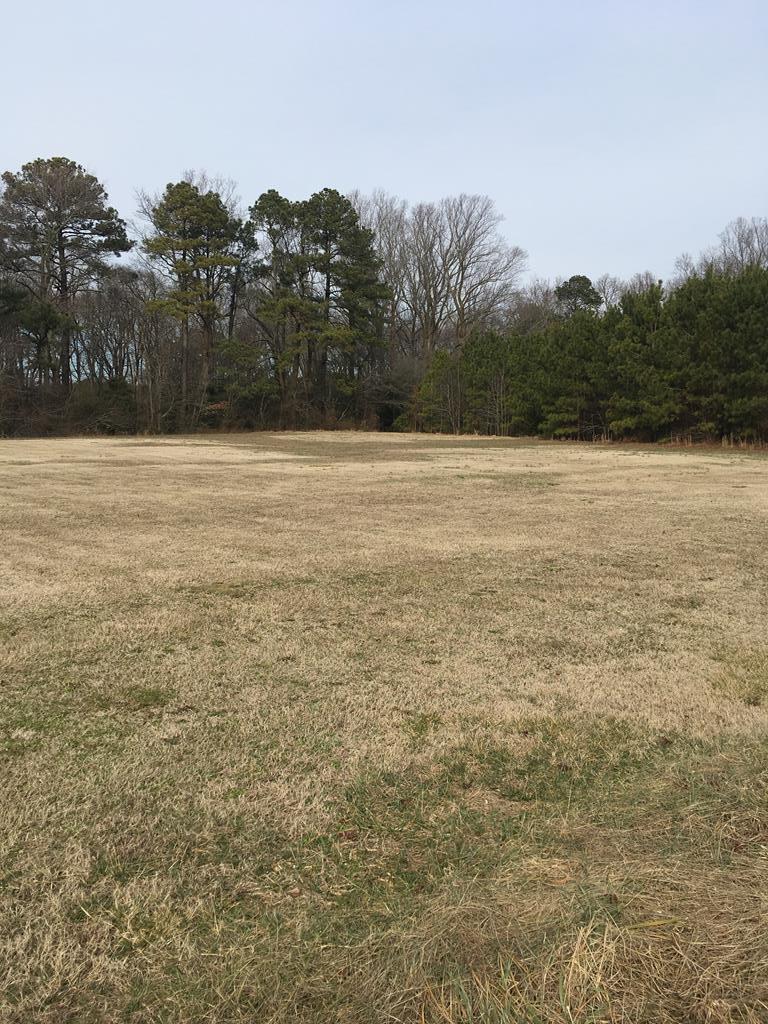 29 White Tail Road, Unit 29 Onancock, VA 23417 - Photo 1 of 3