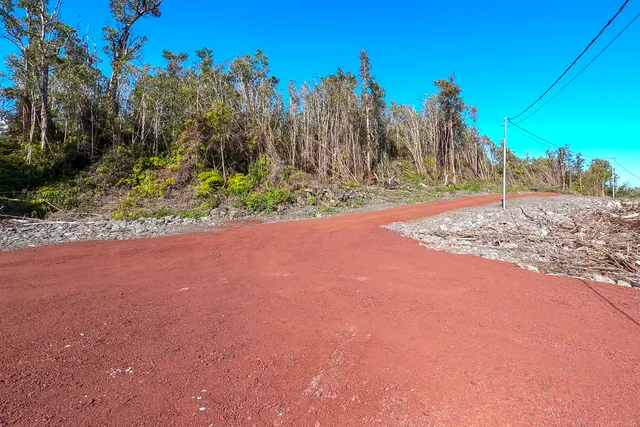 a view of a yard with palm tree