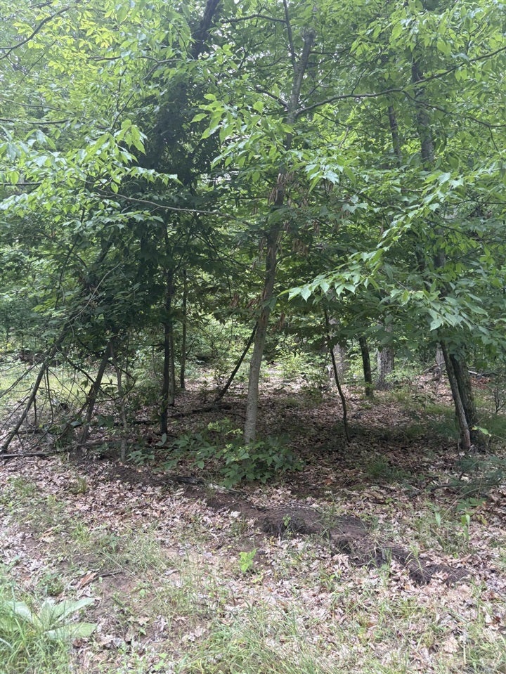 5 5 Mile Road Howard City, MI 49329 - Photo 13 of 99 Gallery Image 13