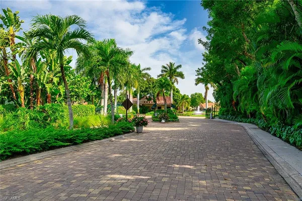a view of a road with plants and trees