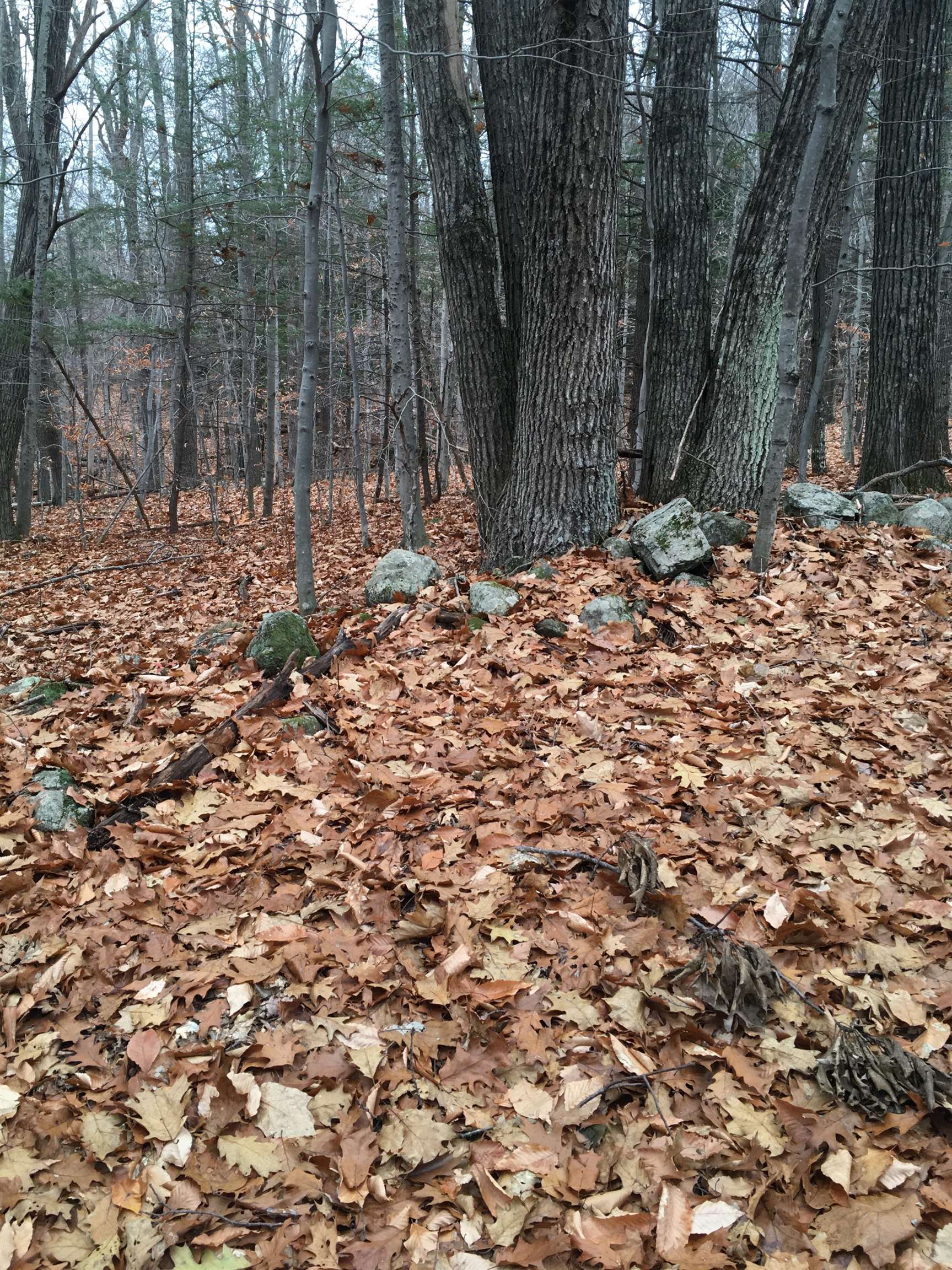 Lot 81 Plumer Hill Road Alexandria, NH 03222 - Photo 2 of 20