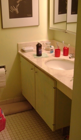 5445 North Sheridan Road, Unit 3308 Chicago, IL 60640 - Photo 10 of 12