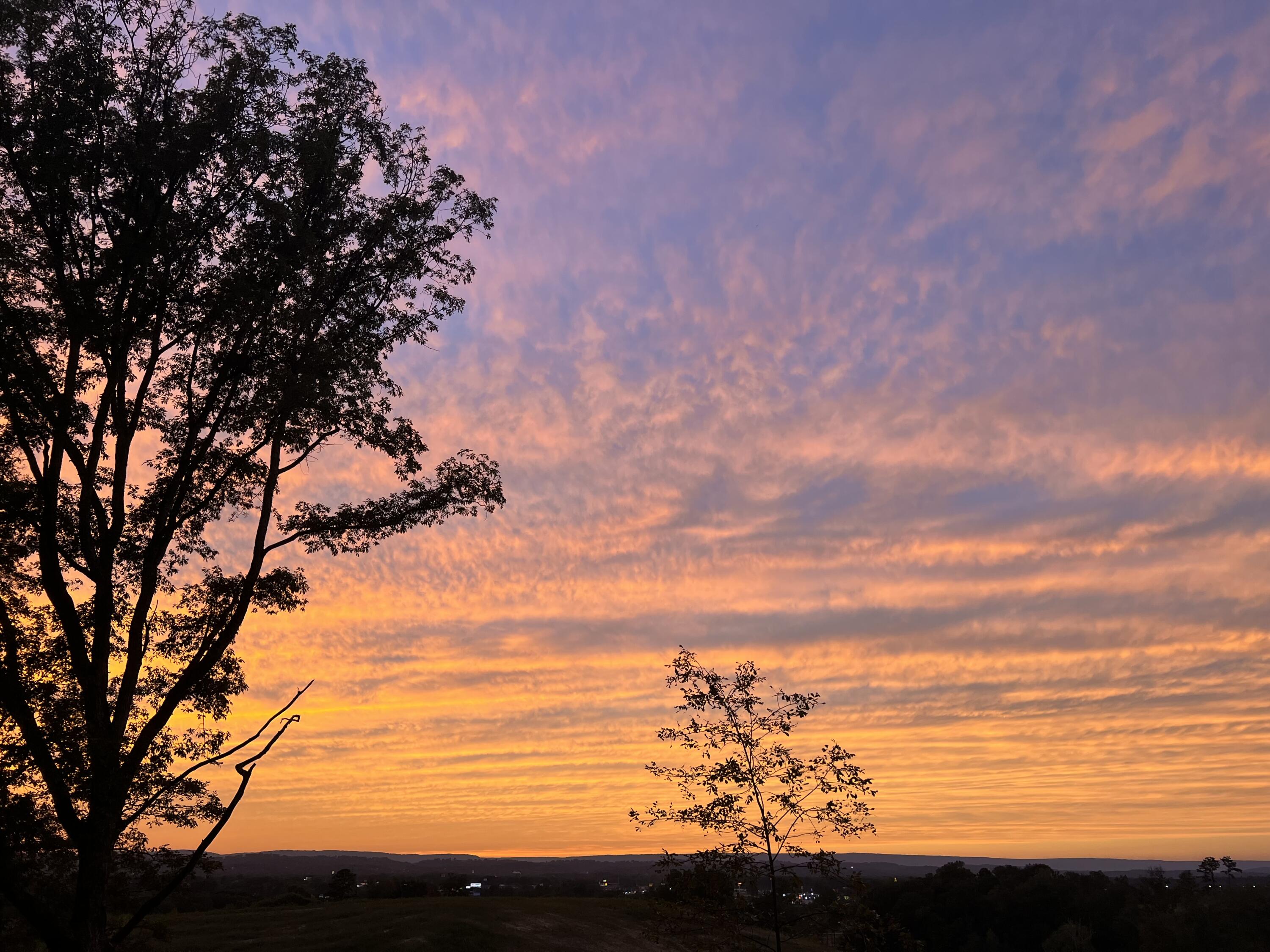 198 Biggs Road Ringgold, GA 30736 - Photo 3 of 48 IMG_4954