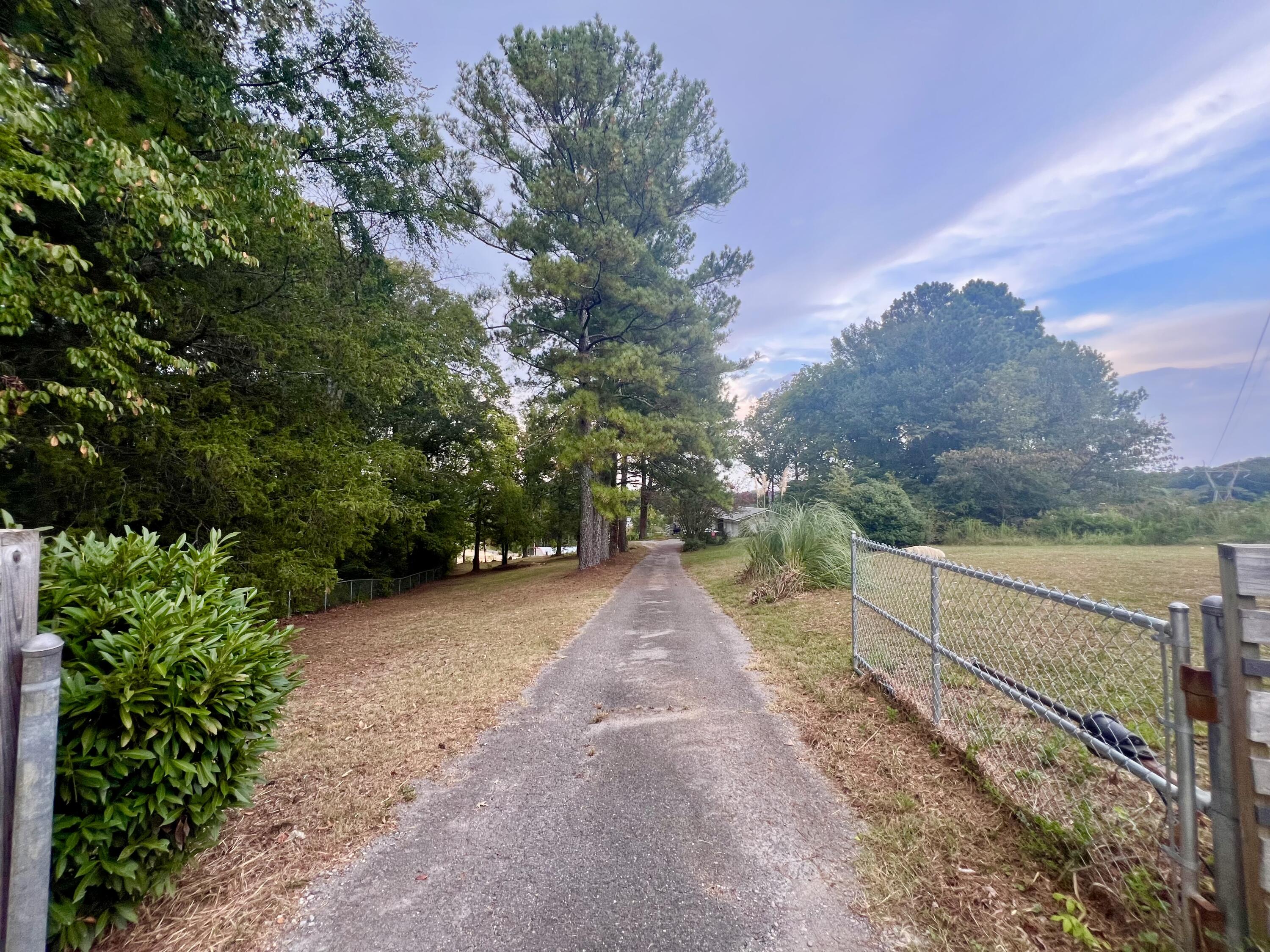 198 Biggs Road Ringgold, GA 30736 - Photo 35 of 48 IMG_5073