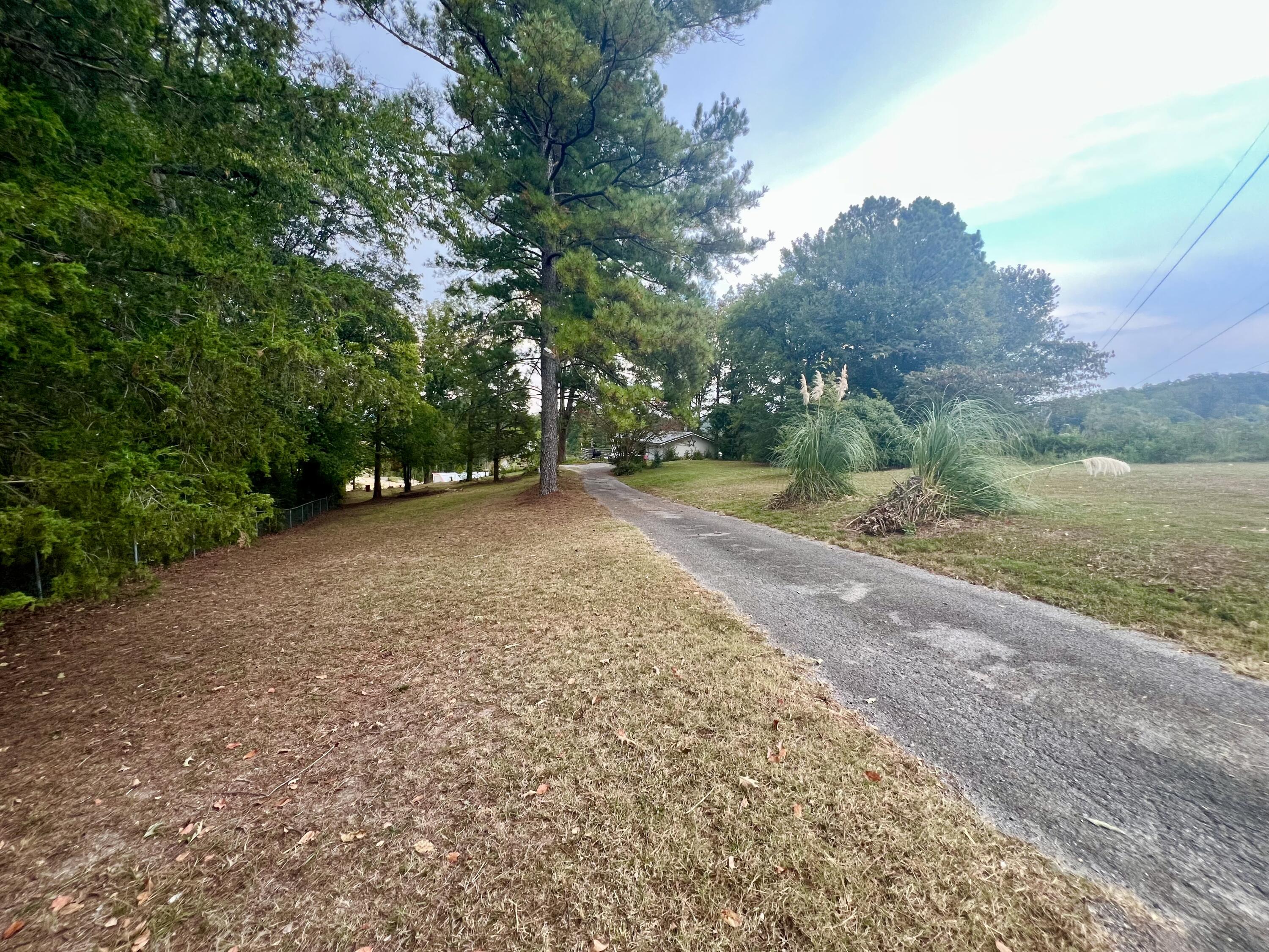 198 Biggs Road Ringgold, GA 30736 - Photo 36 of 48 IMG_5074